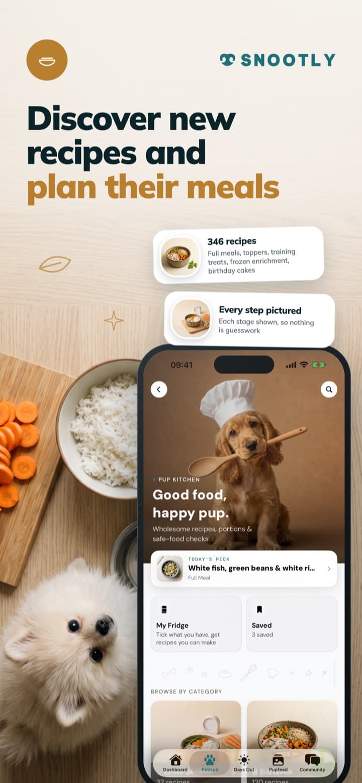 Discover new recipes and plan their meals